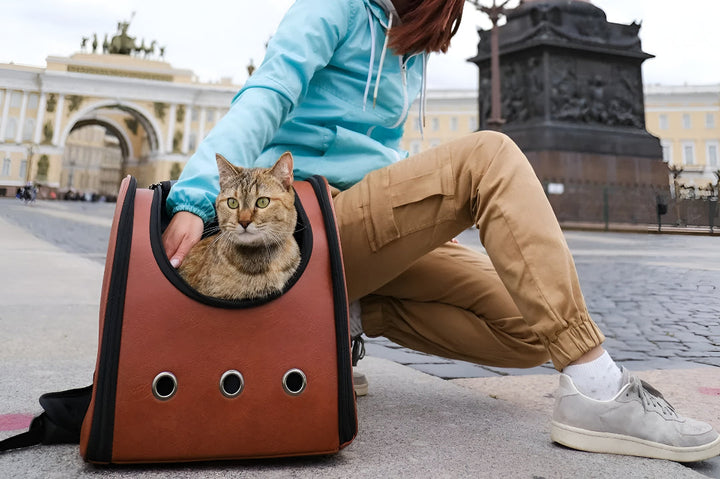 Safe Travel Tips With Pet Carriers Guide