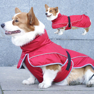 Keep Your Furry Friend Cozy with the Warm Shell Pet Jacket Clothing Suit