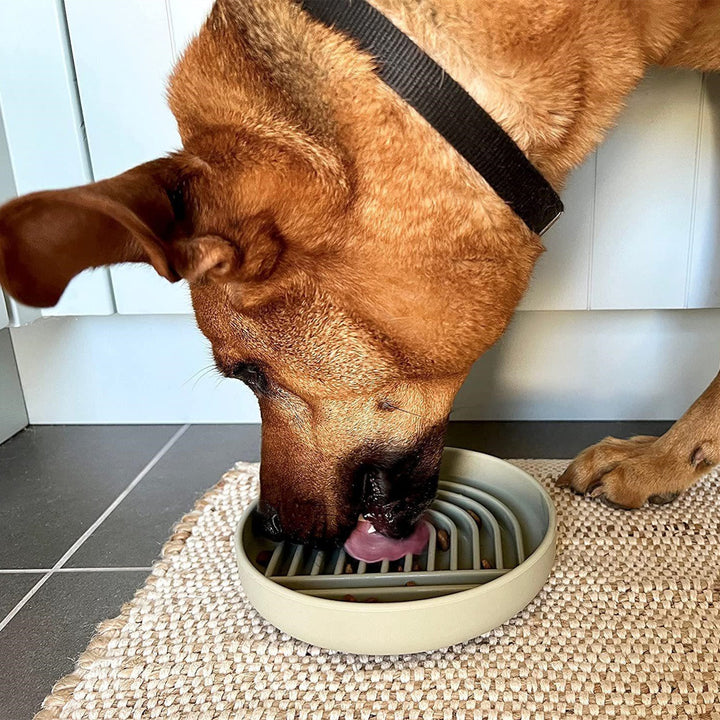Pet Fashion Simple Slow Feeding Food Bowl