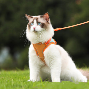 Discover the Ultimate Pet Reflective Anti-Escape Harness Leash Set