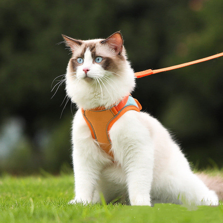 Discover the Ultimate Pet Reflective Anti-Escape Harness Leash Set