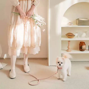Discover the Ultimate Leather Handheld Pet Collar Rope Leash